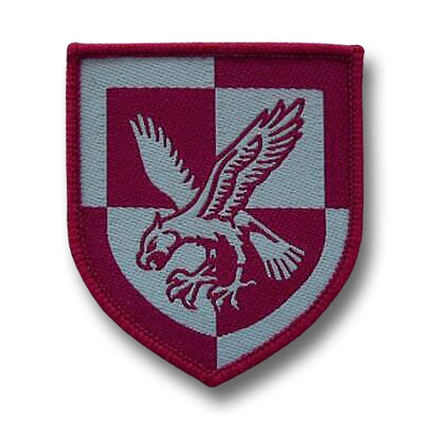 **Fallschirmjäger Abzeichen: Luftsturm-Elite für echte Helden!**